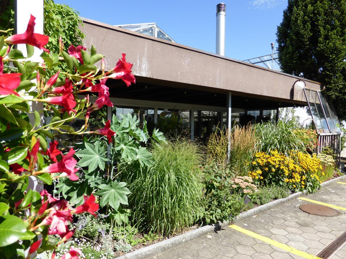 Hotel Alte Gaertnerei Harkingen ภายนอก รูปภาพ