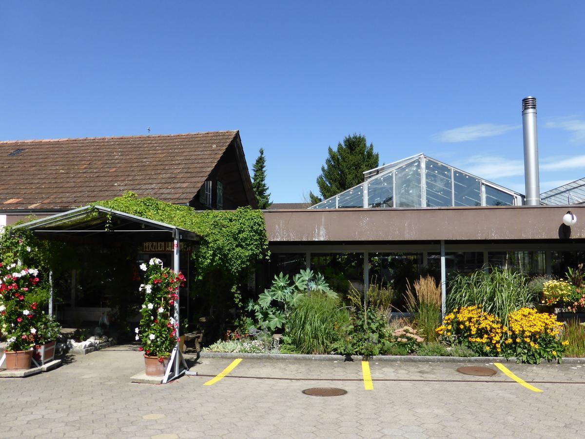 Hotel Alte Gaertnerei Harkingen ภายนอก รูปภาพ